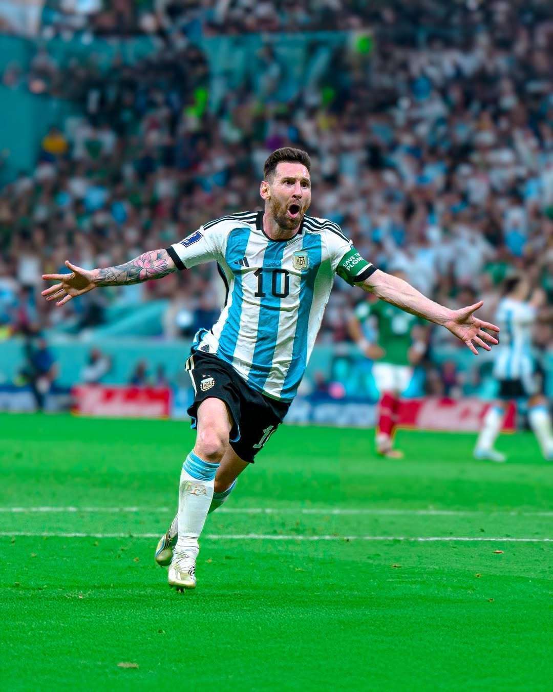 满趣味的体 满趣味的体