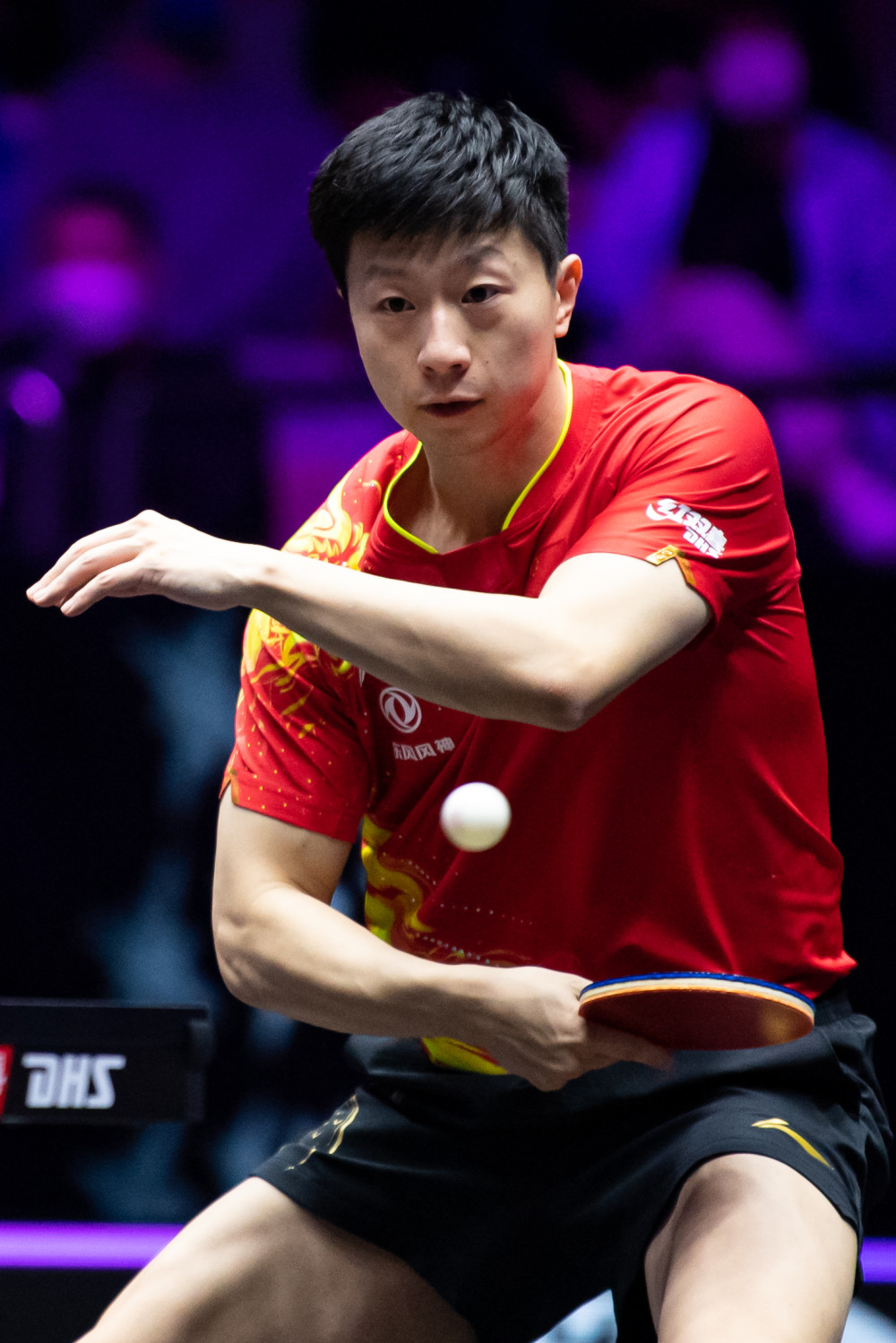 在高度竞争 在高度竞争